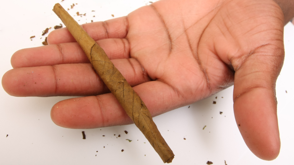 How To Roll A Blunturi Like A Pro