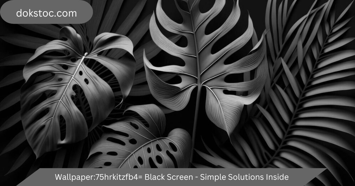 wallpaper:75hrkitzfb4= black screen