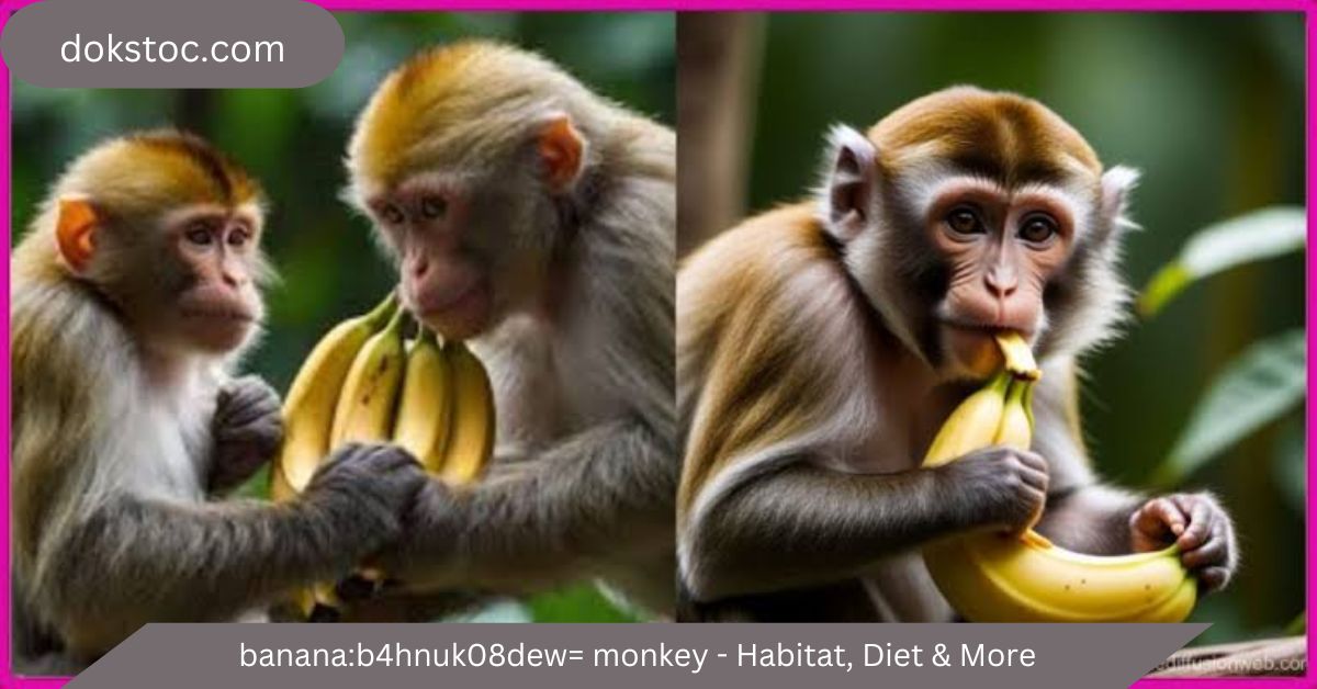 banana:b4hnuk08dew= monkey