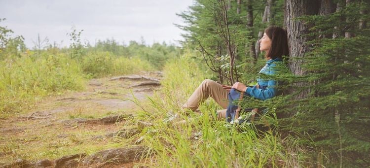 What is forest bathing, and what are its benefits? 